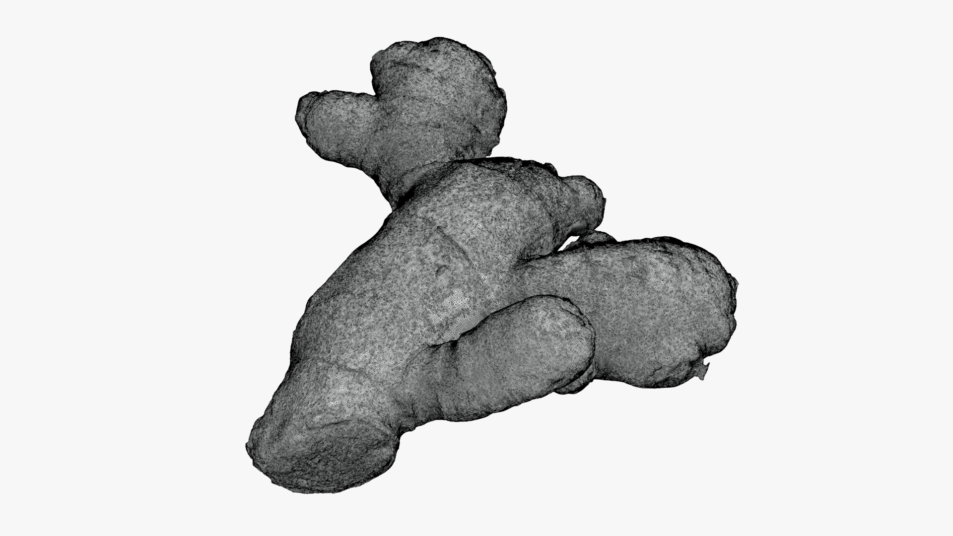 Ginger Root 02 - For 3D Print 3D Model
