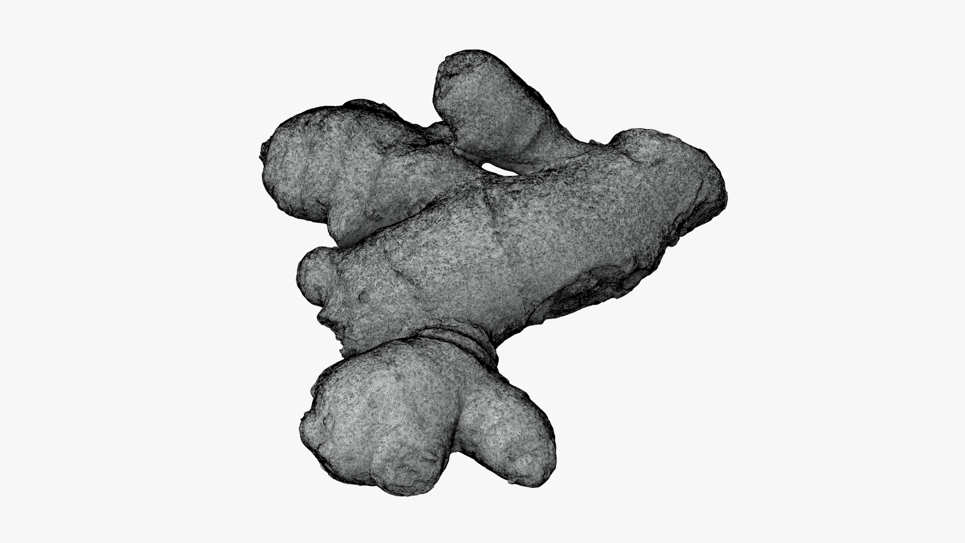 Ginger Root 02 - For 3D Print 3D Model