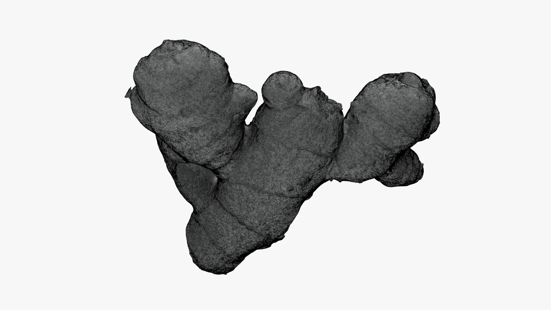 Ginger Root 02 - For 3D Print 3D Model