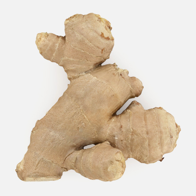 Ginger Root 02