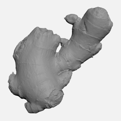 Ginger Root 03 - For 3D Print