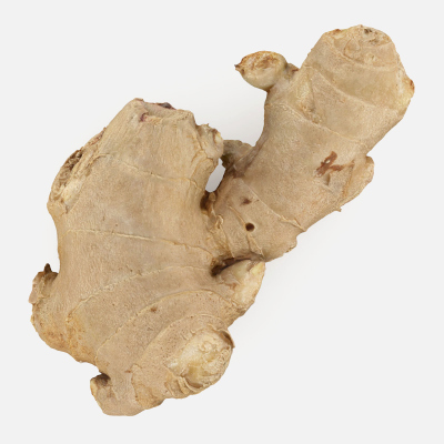 Ginger Root 03