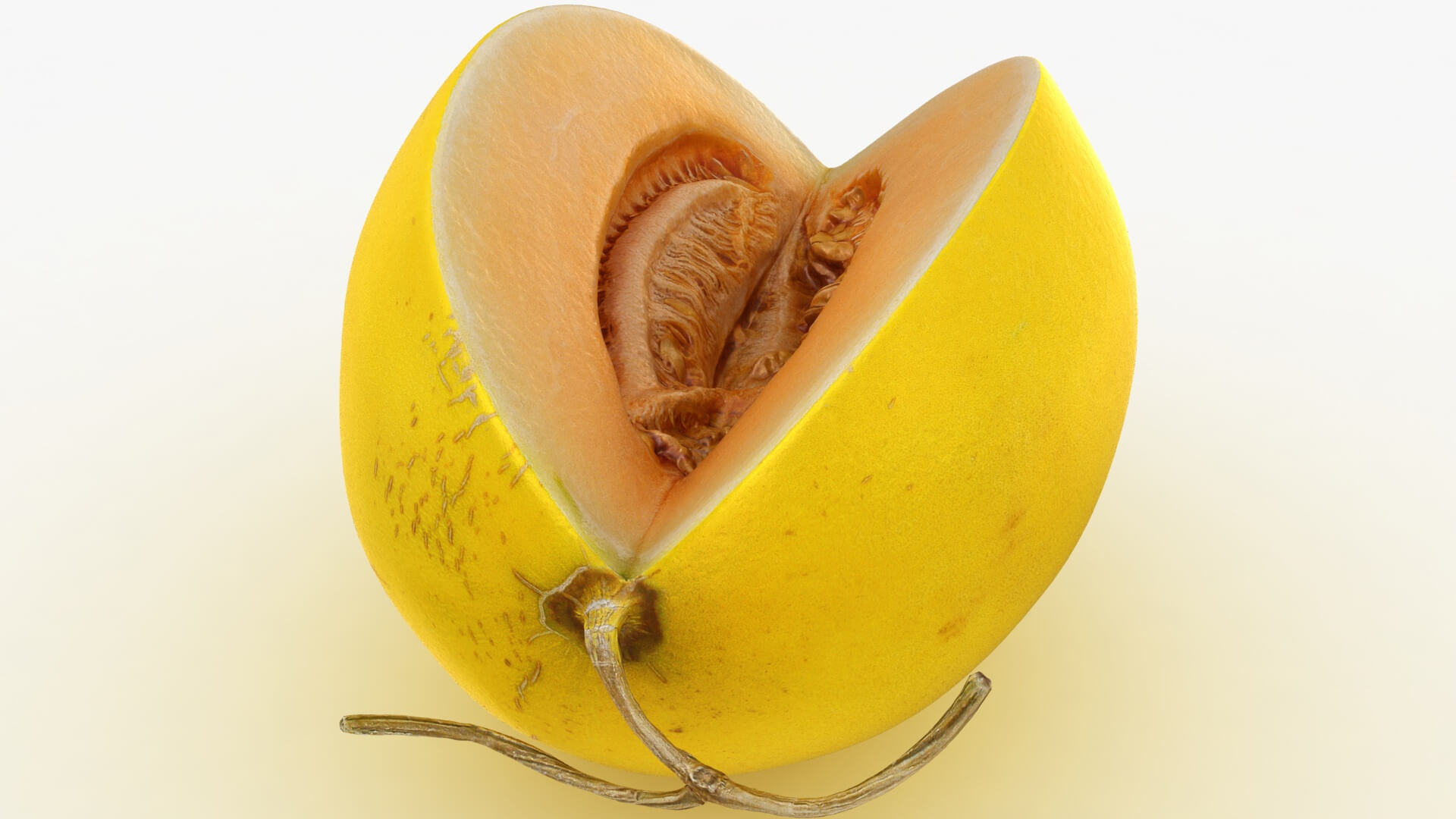 Golden Cantaloupe Cut 3D Model