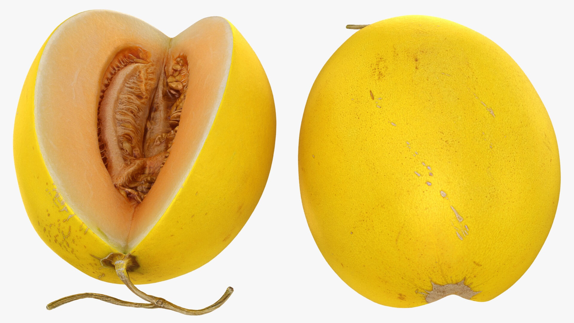Golden Cantaloupe Cut 3D Model