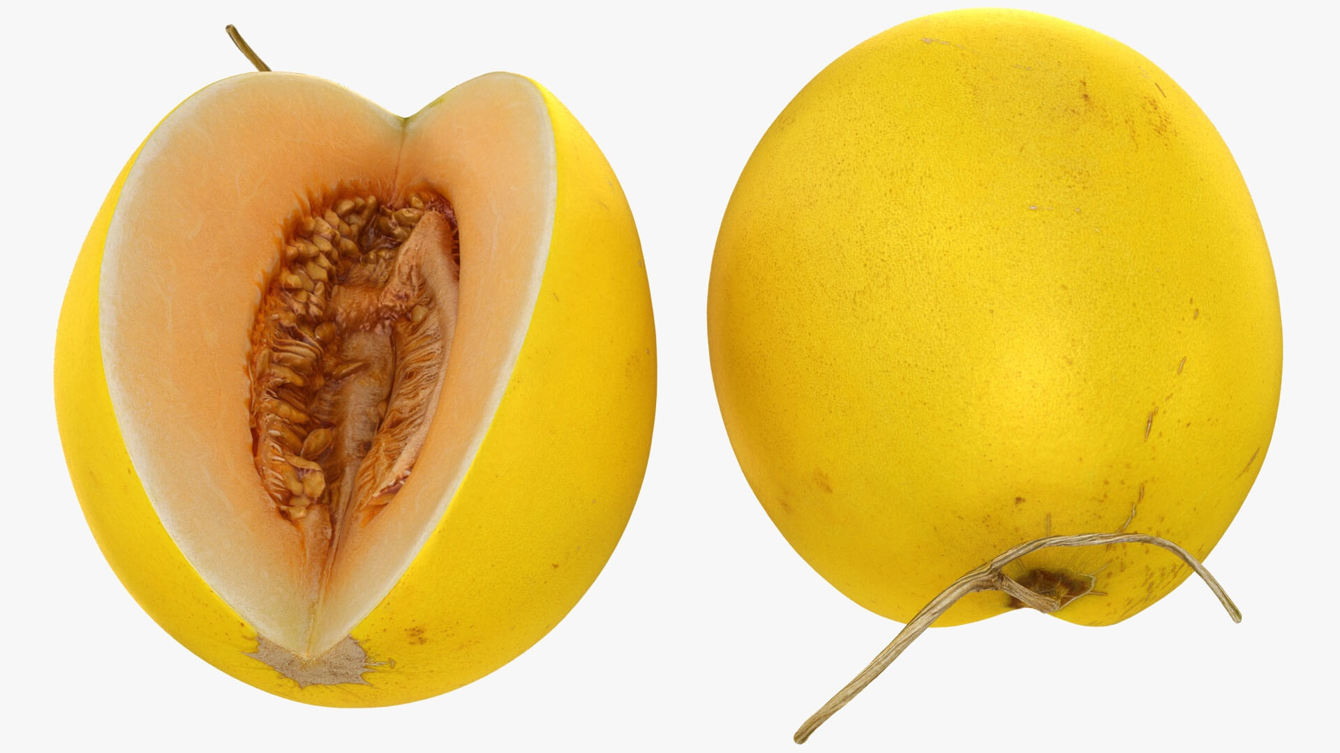 Golden Cantaloupe Cut 3D Model
