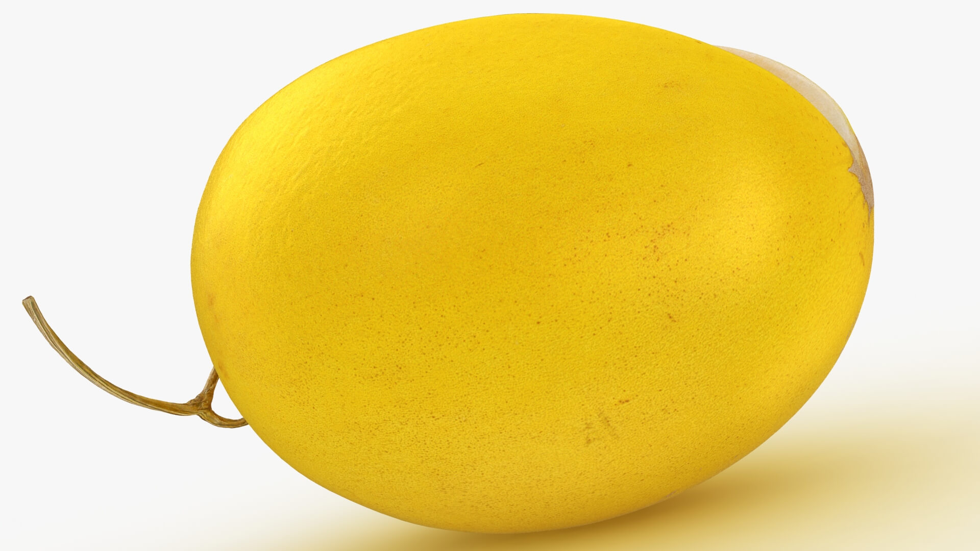 Golden Cantaloupe Cut 3D Model