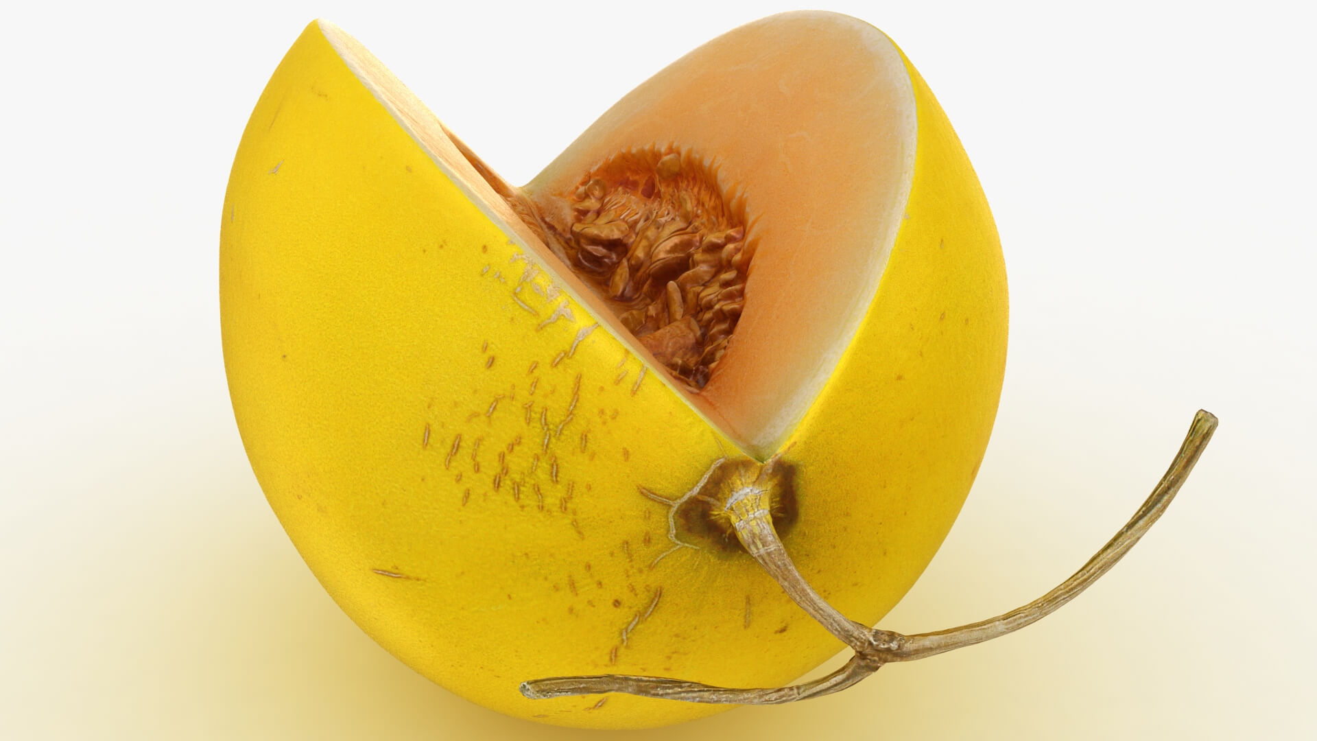 Golden Cantaloupe Cut 3D Model
