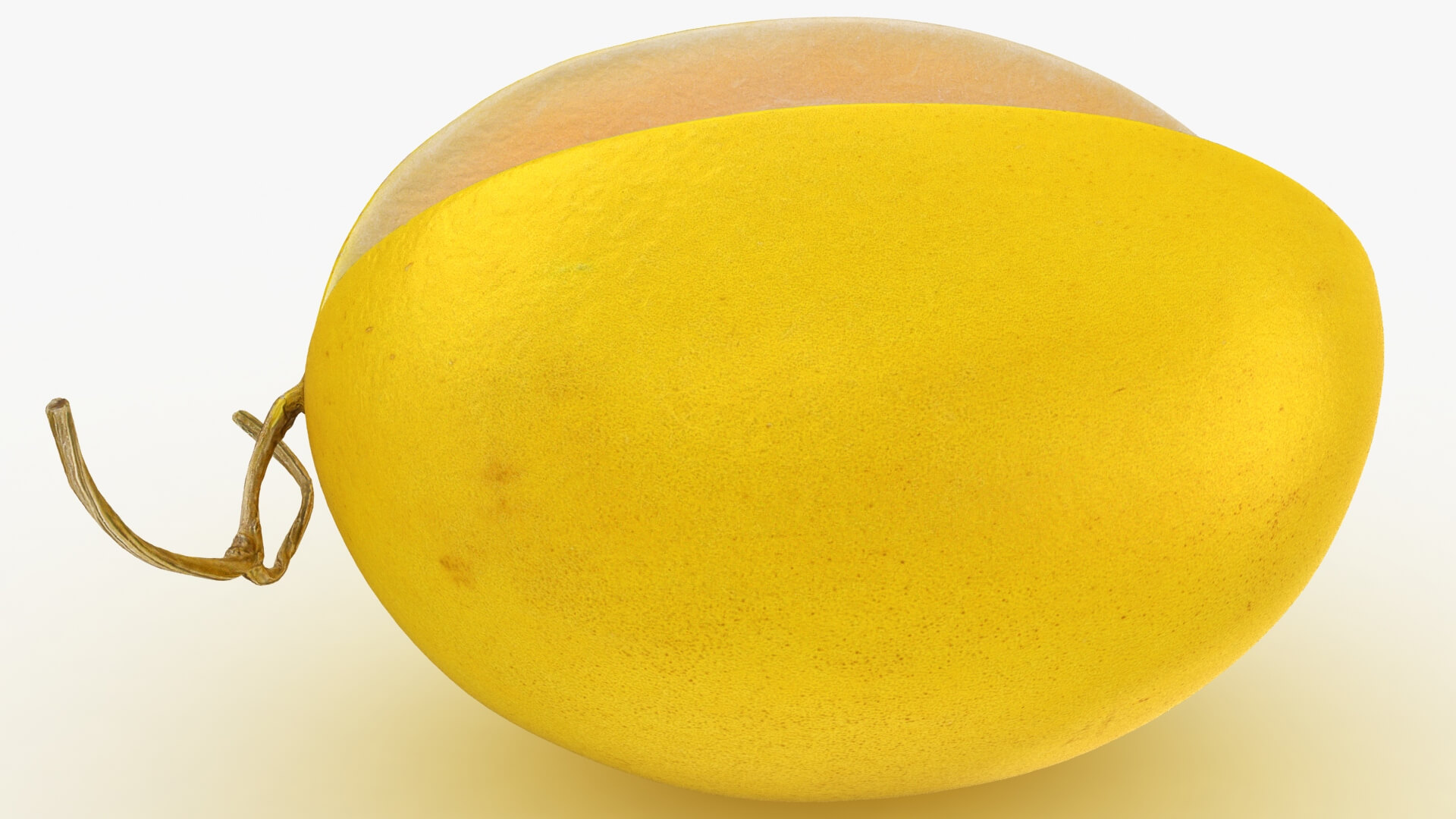 Golden Cantaloupe Cut 3D Model