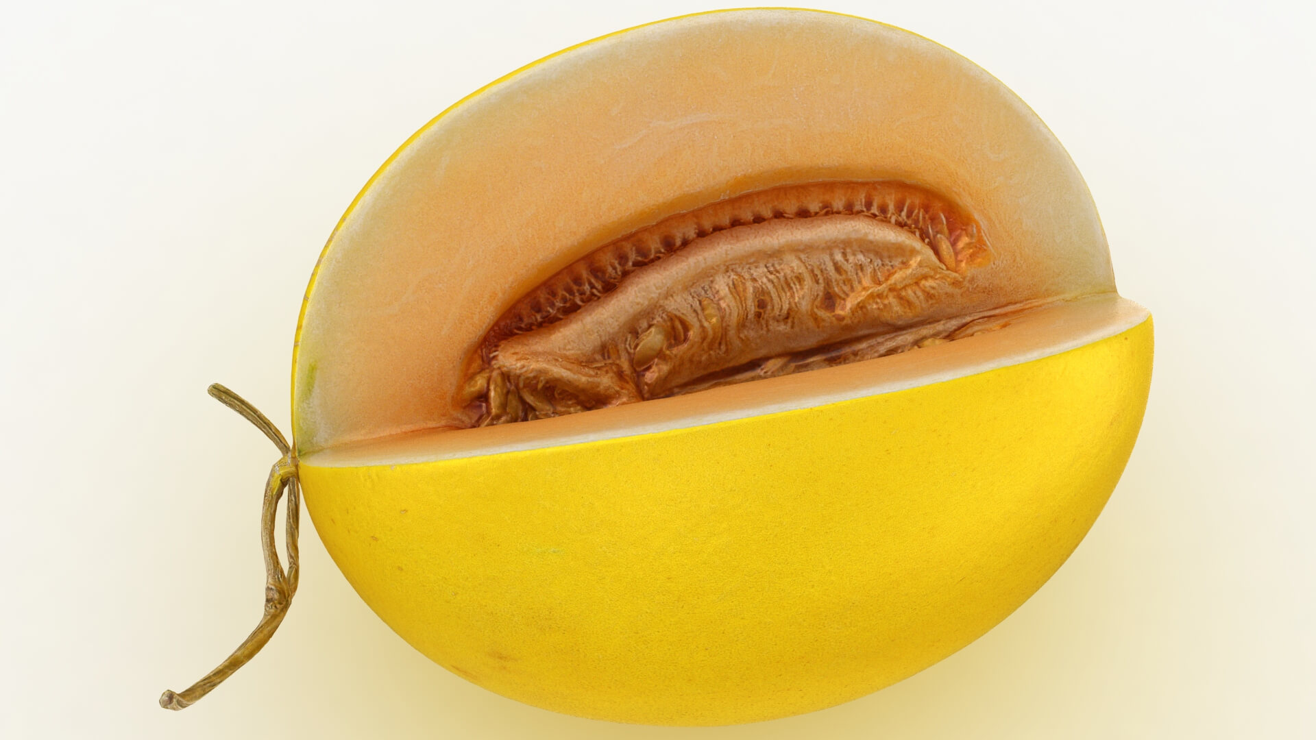 Golden Cantaloupe Cut 3D Model