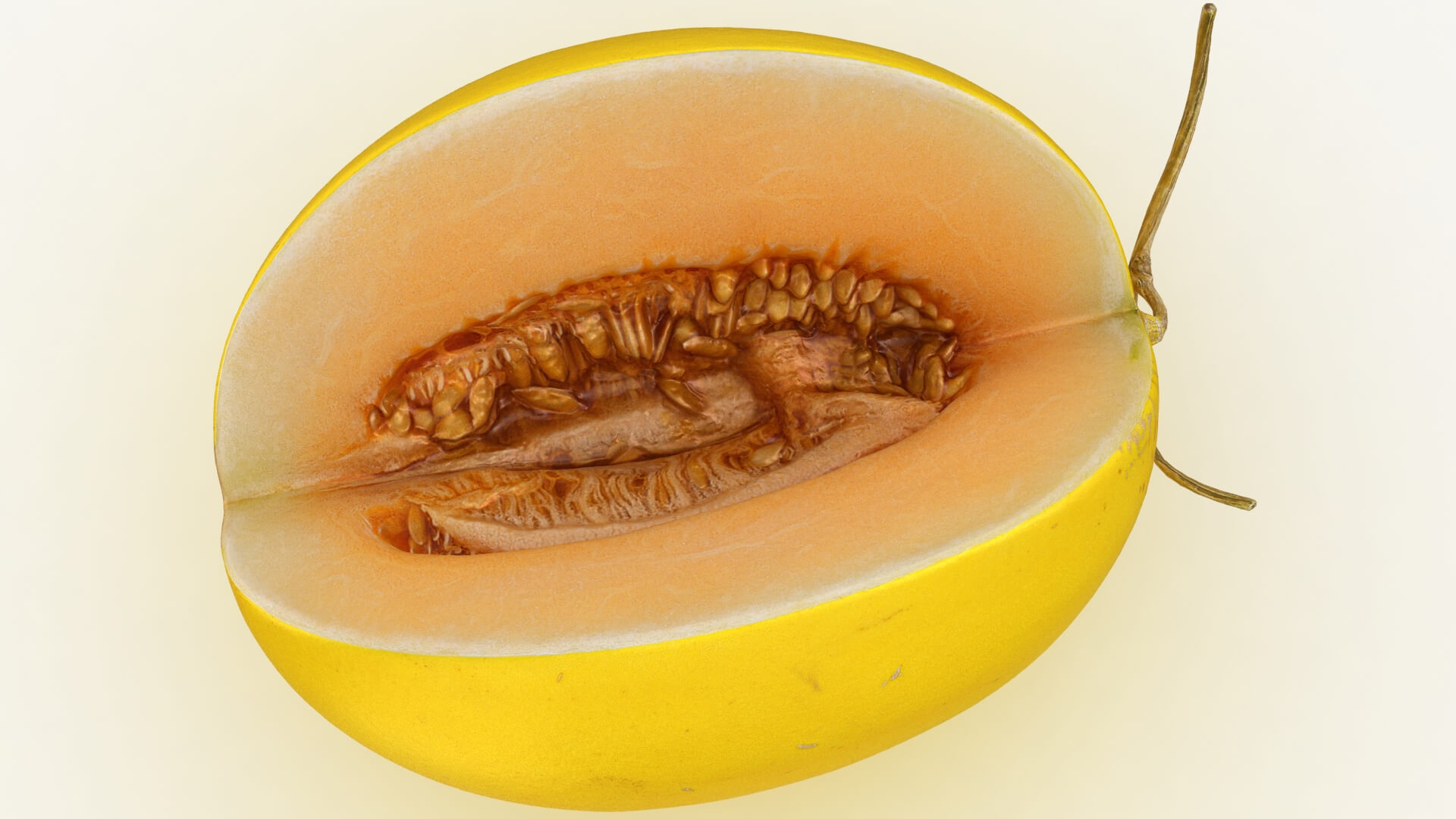 Golden Cantaloupe Cut 3D Model