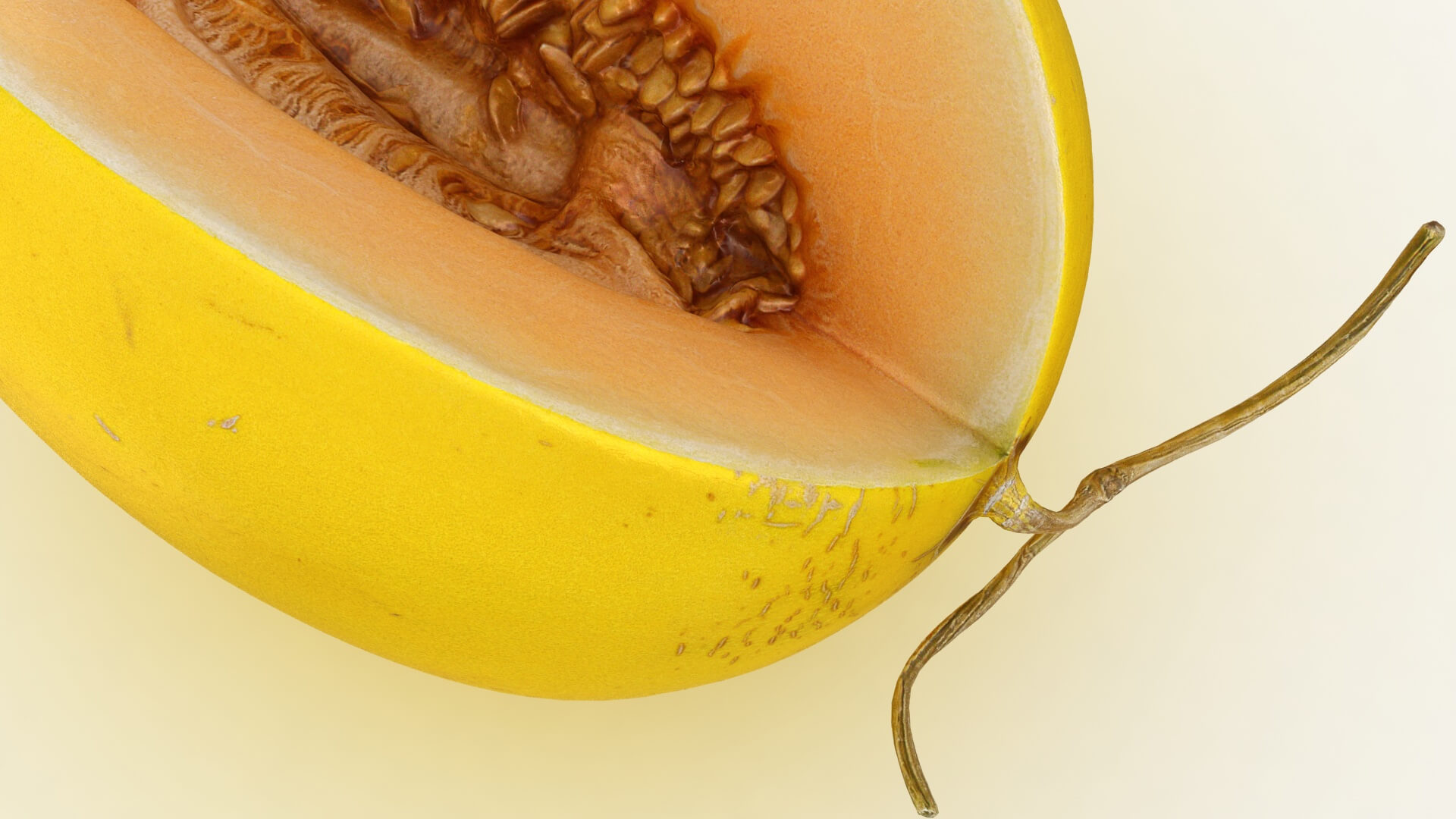 Golden Cantaloupe Cut 3D Model
