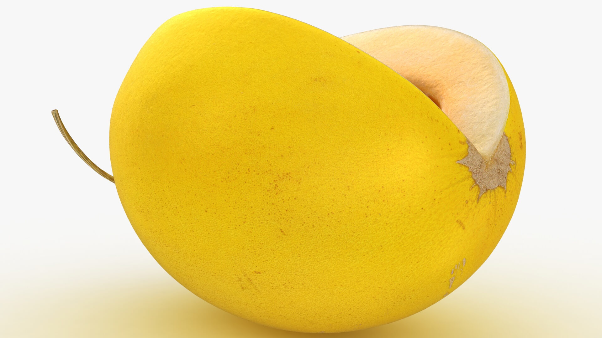 Golden Cantaloupe Cut 3D Model