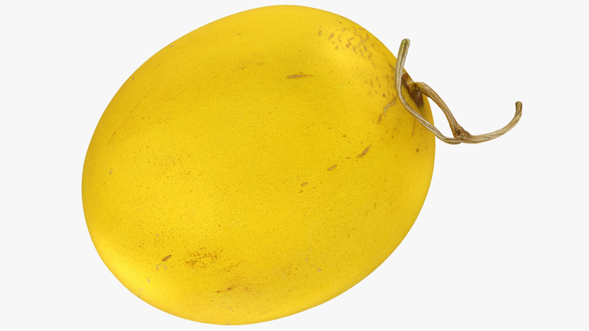 Golden Cantaloupe Cut 3D Model