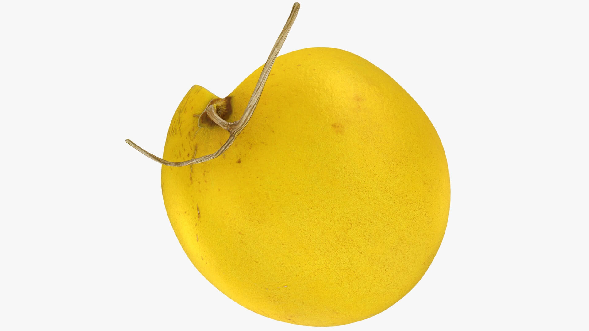 Golden Cantaloupe Cut 3D Model