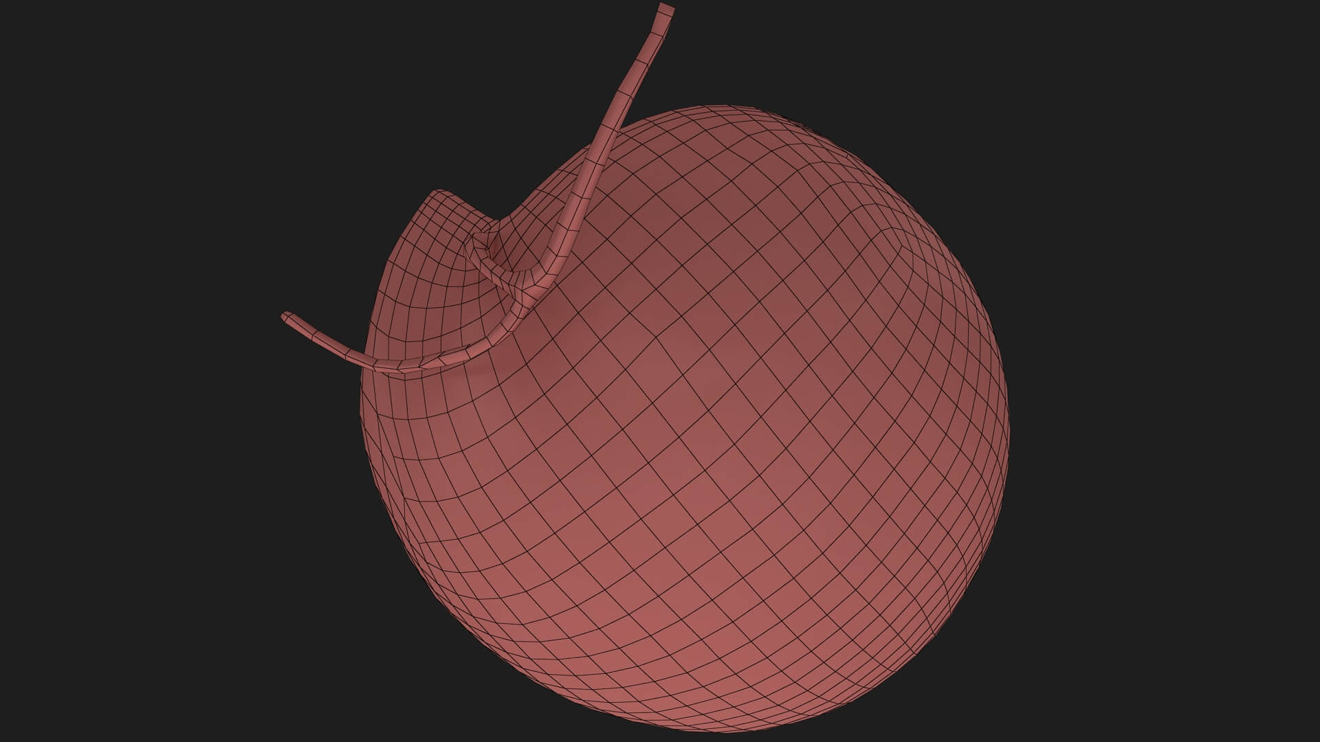Golden Cantaloupe Cut 3D Model