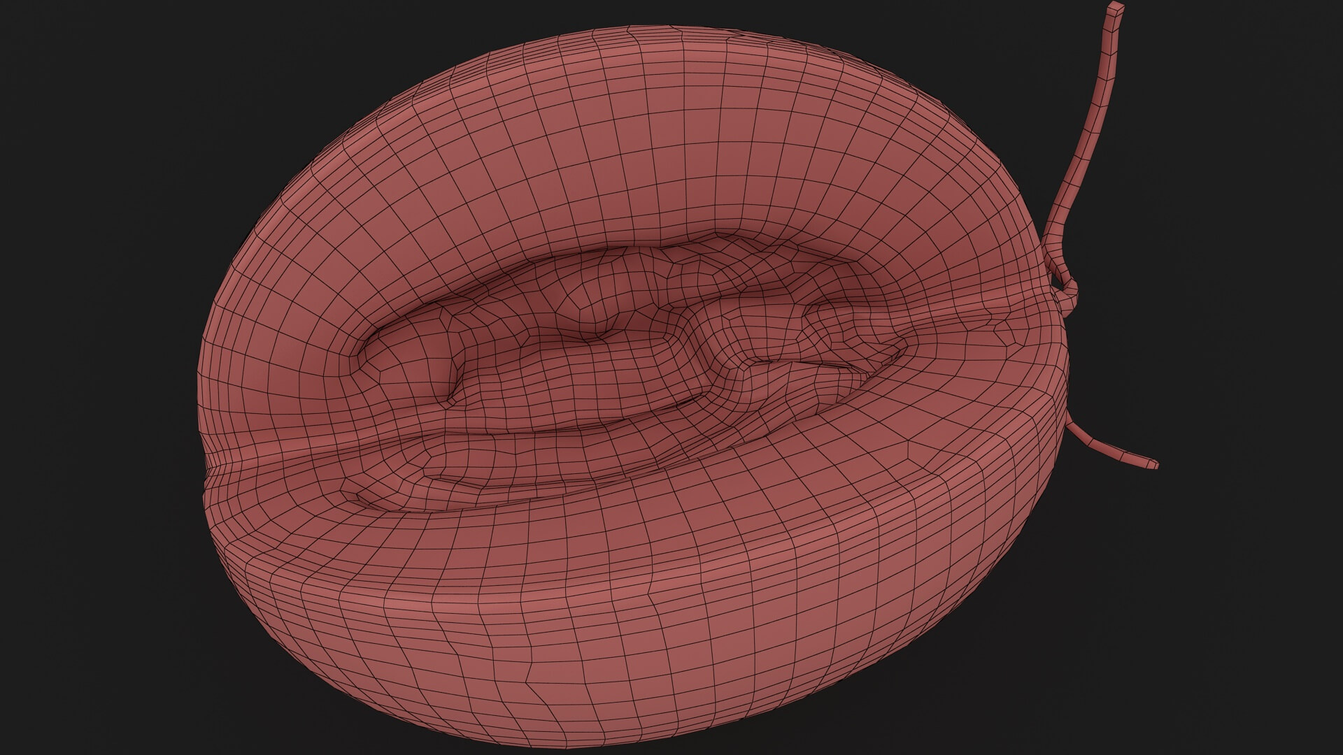 Golden Cantaloupe Cut 3D Model