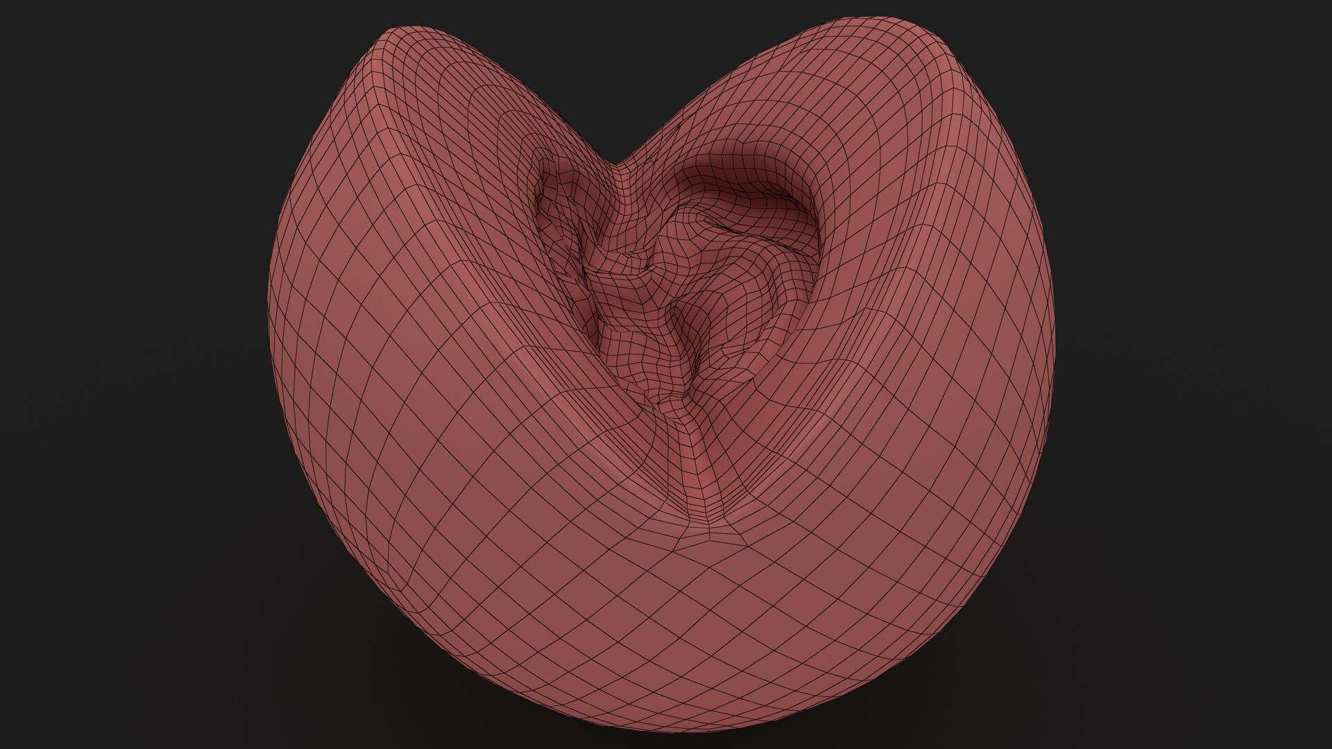 Golden Cantaloupe Cut 3D Model