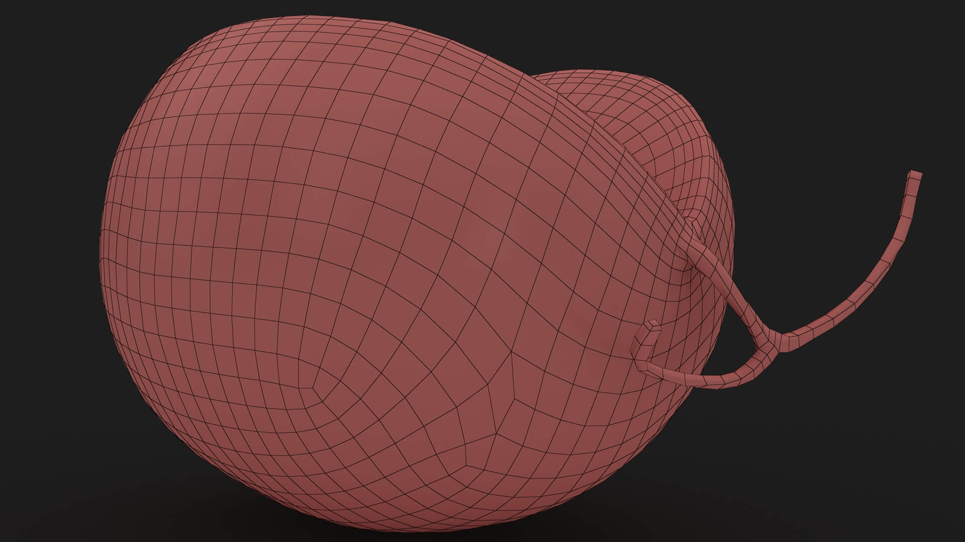 Golden Cantaloupe Cut 3D Model
