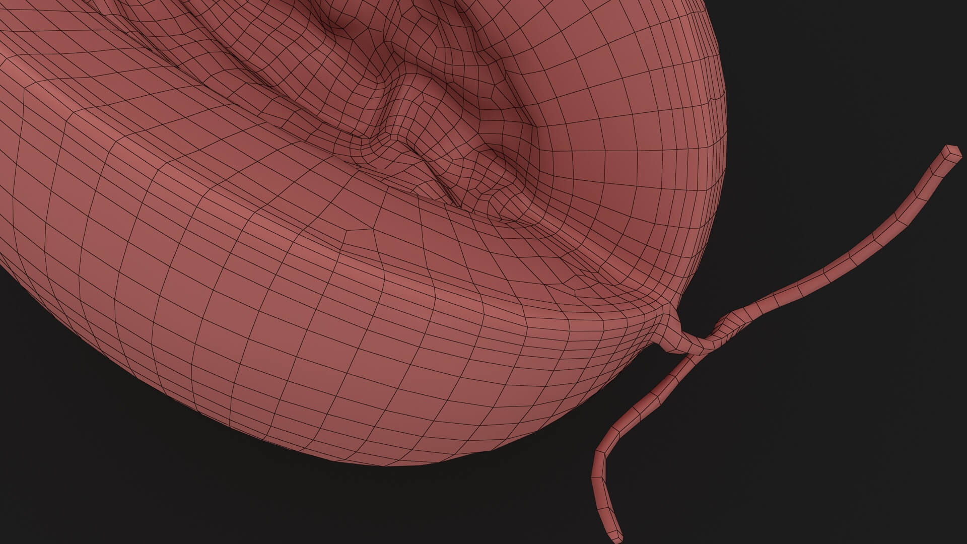 Golden Cantaloupe Cut 3D Model