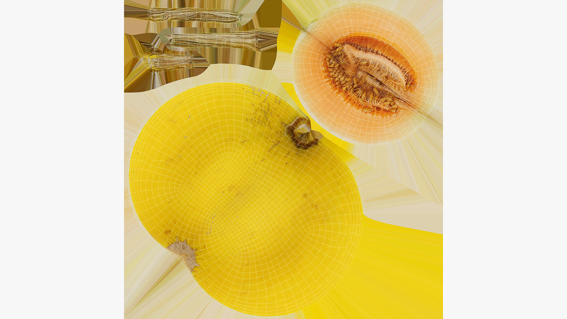 Golden Cantaloupe Cut 3D Model