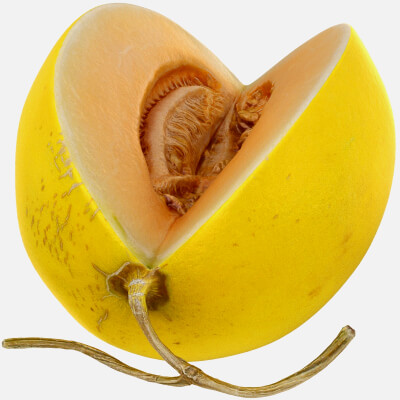 Golden Cantaloupe Cut