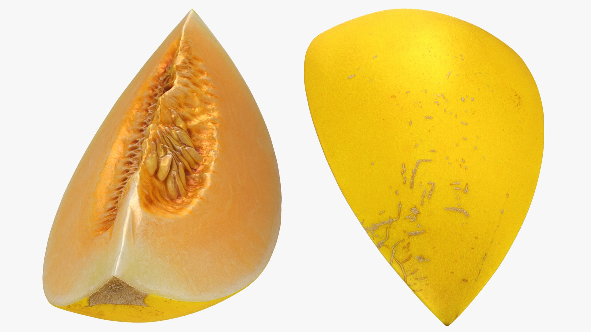Golden Cantaloupe Slice 3D Model