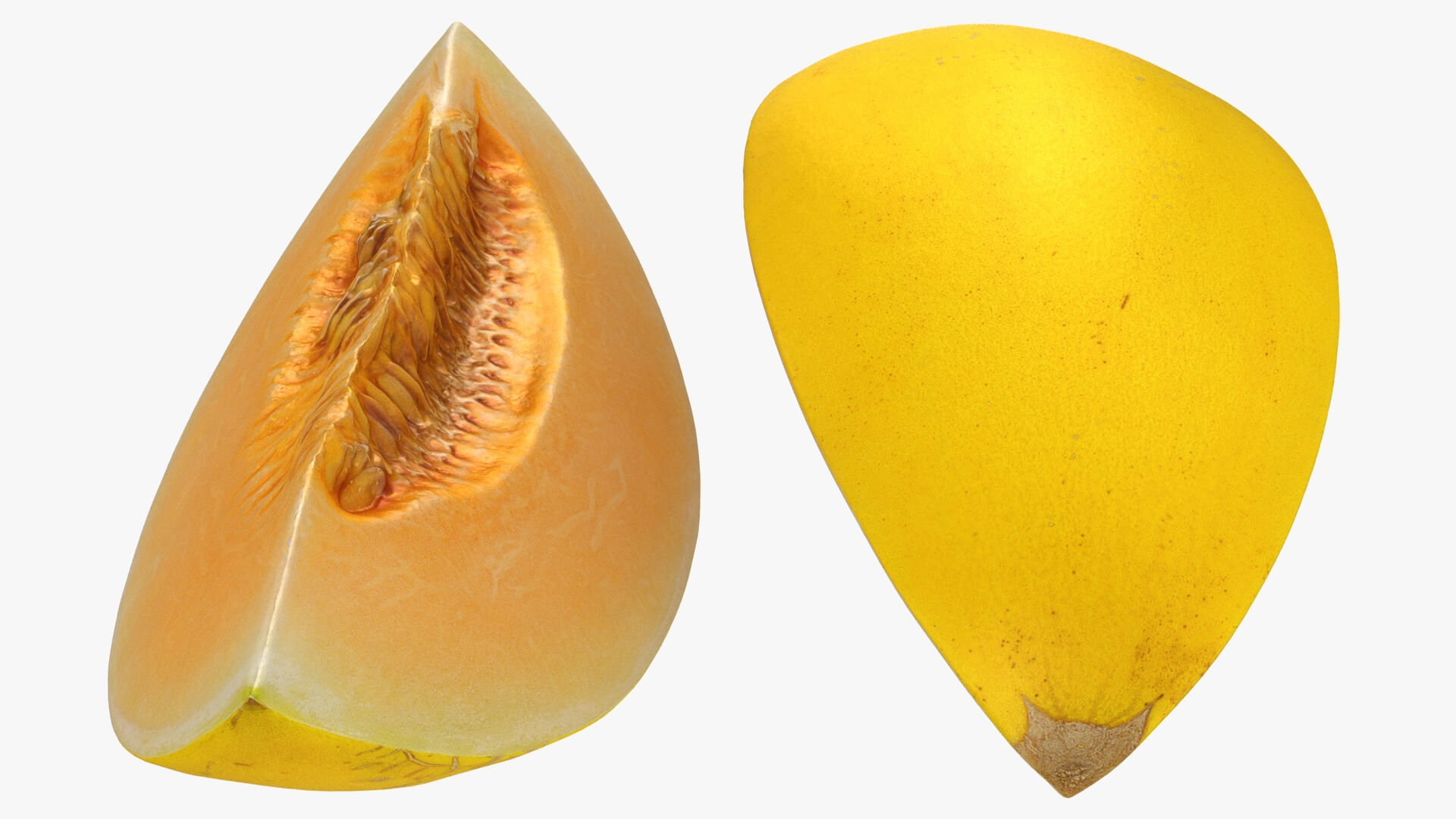 Golden Cantaloupe Slice 3D Model