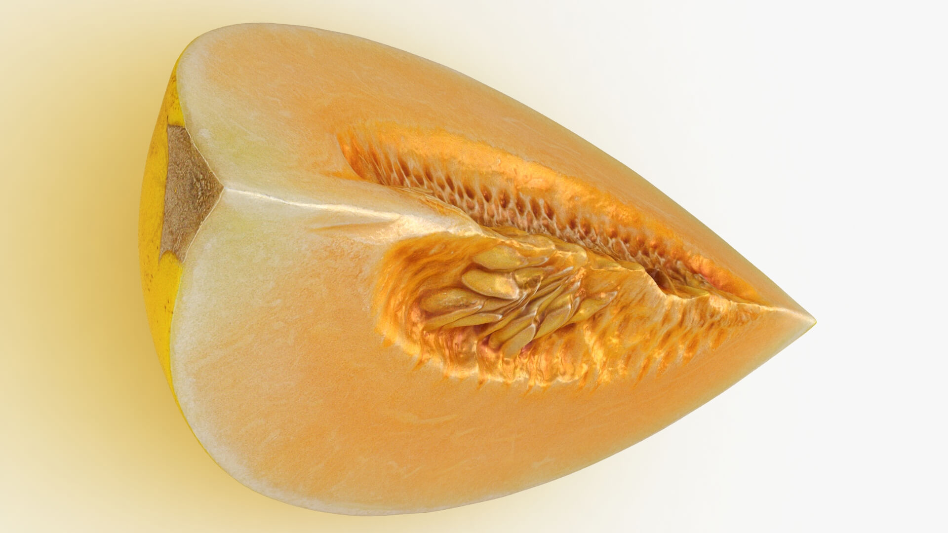 Golden Cantaloupe Slice 3D Model