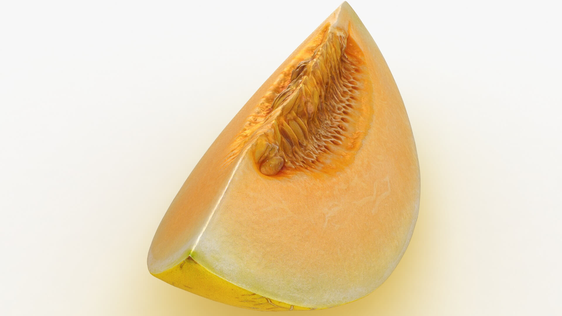 Golden Cantaloupe Slice 3D Model