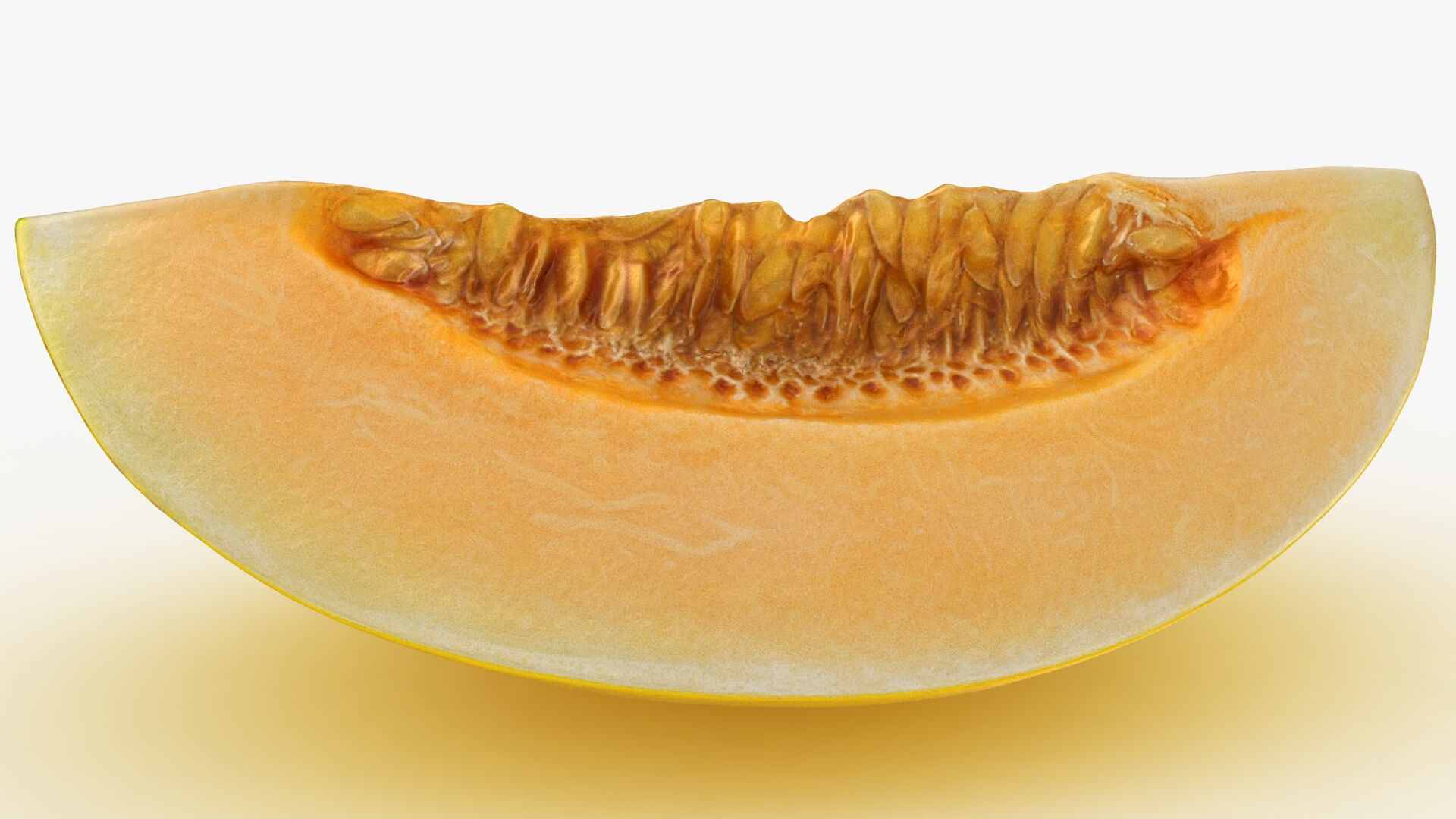 Golden Cantaloupe Slice 3D Model