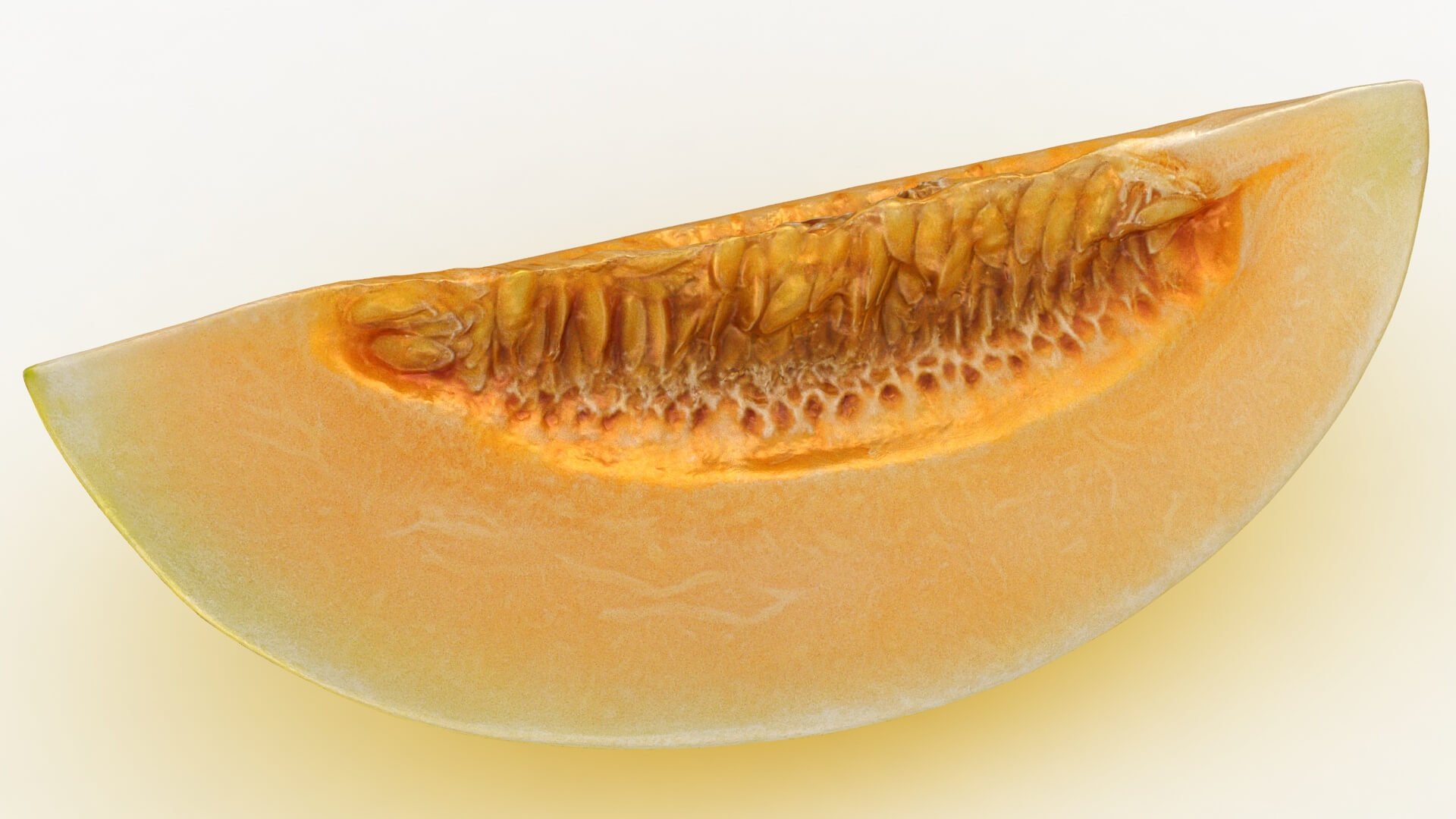 Golden Cantaloupe Slice 3D Model
