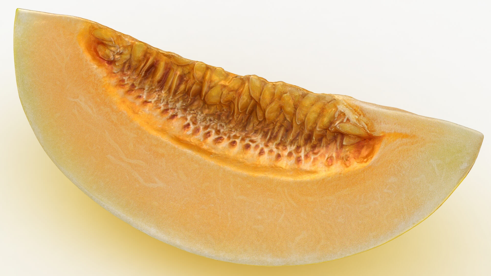 Golden Cantaloupe Slice 3D Model