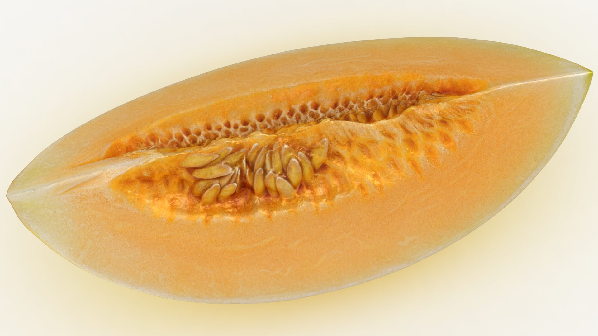 Golden Cantaloupe Slice 3D Model