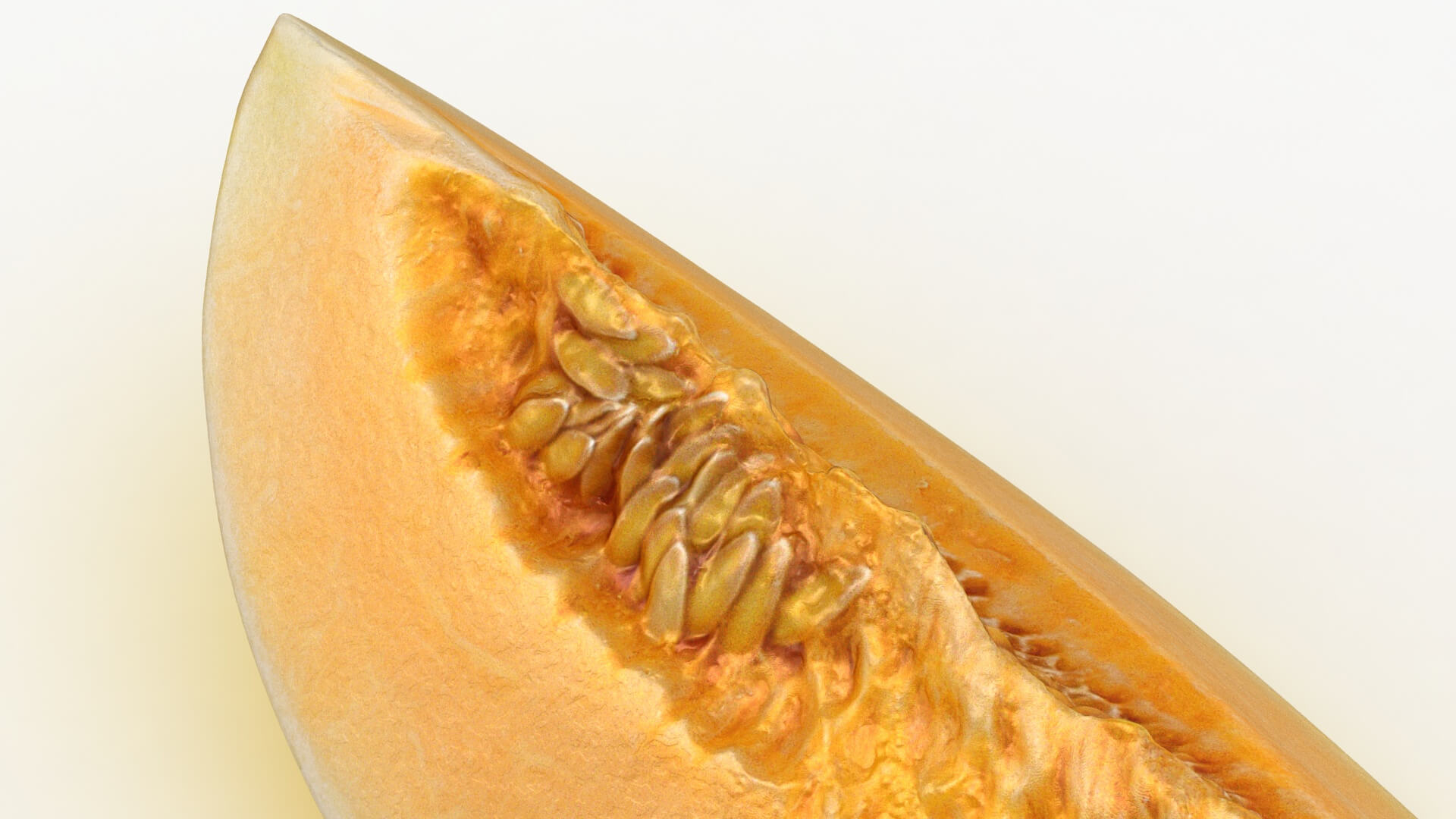 Golden Cantaloupe Slice 3D Model