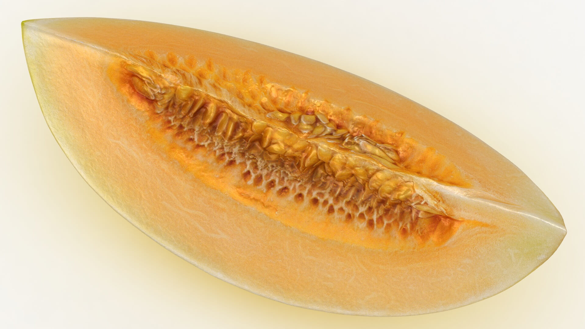 Golden Cantaloupe Slice 3D Model
