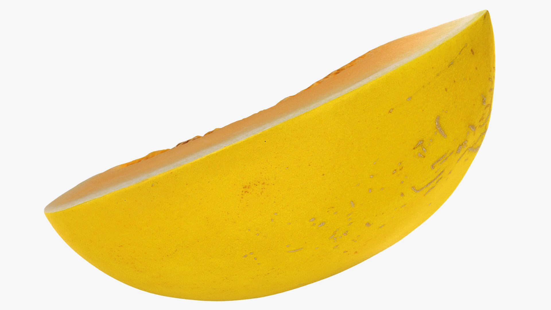 Golden Cantaloupe Slice 3D Model