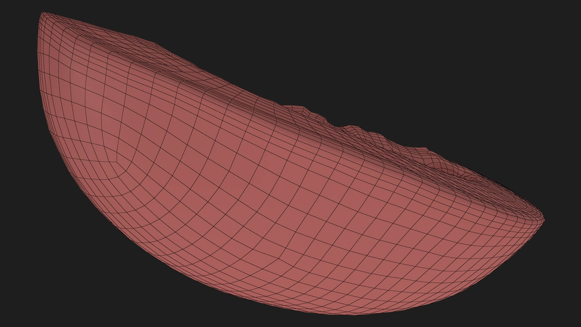 Golden Cantaloupe Slice 3D Model