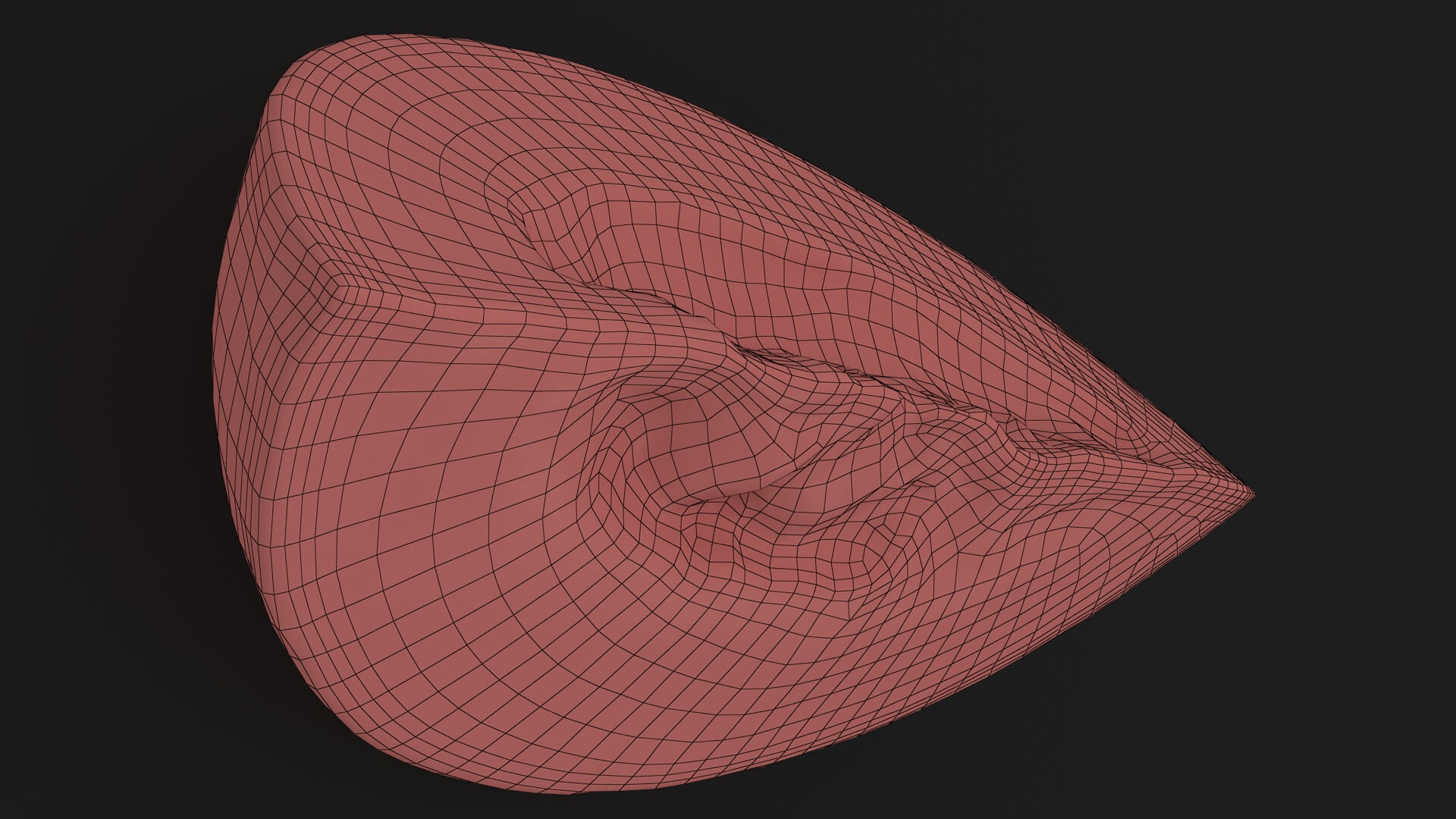 Golden Cantaloupe Slice 3D Model