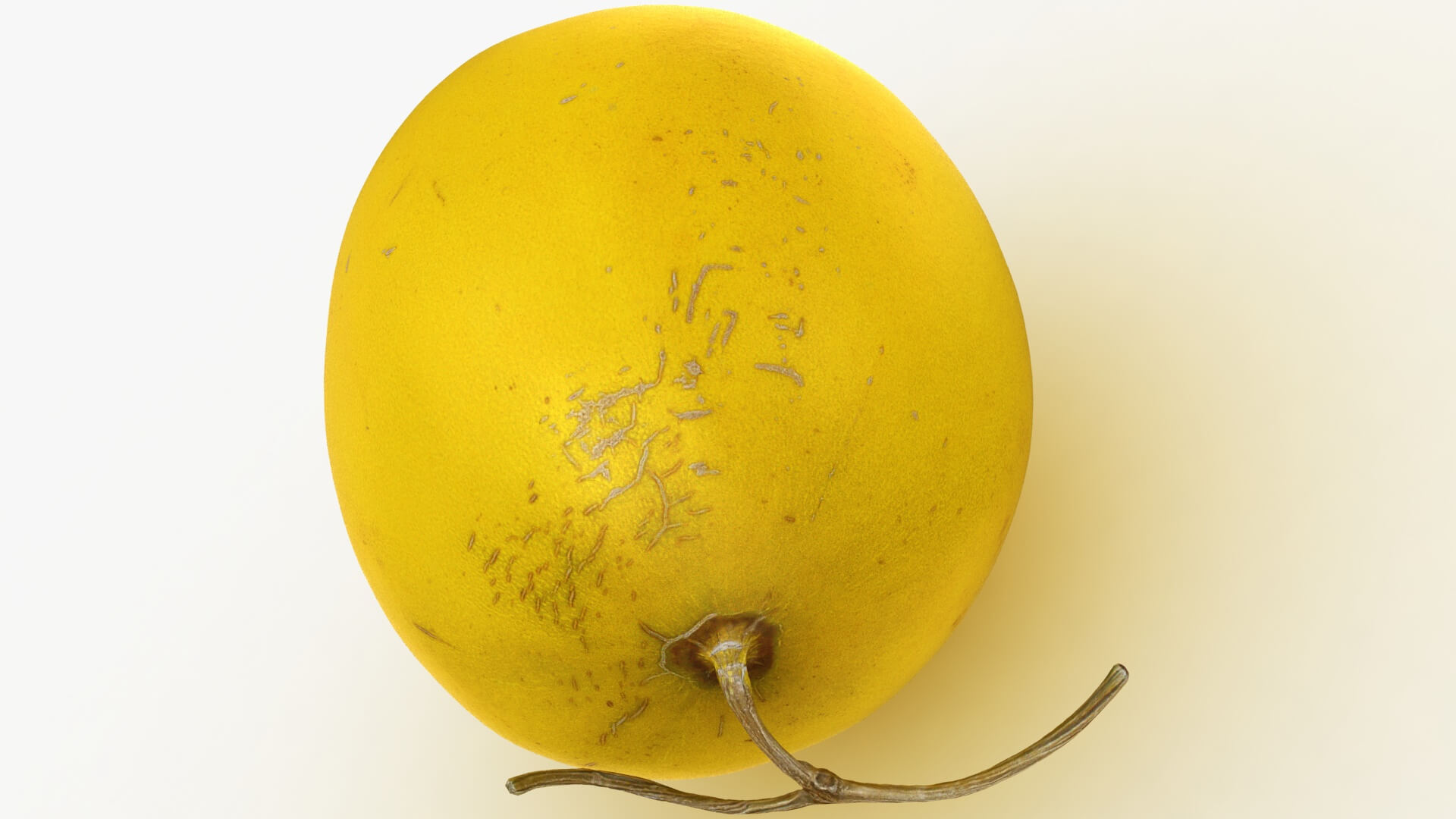 Golden Cantaloupe 3D Model