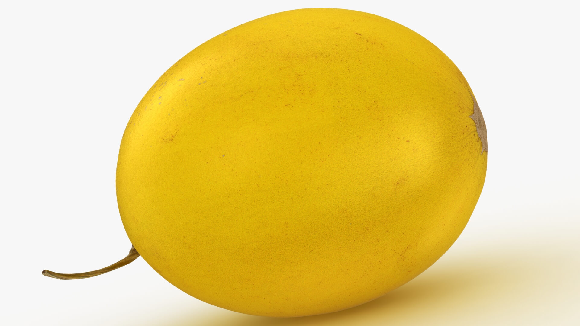 Golden Cantaloupe 3D Model