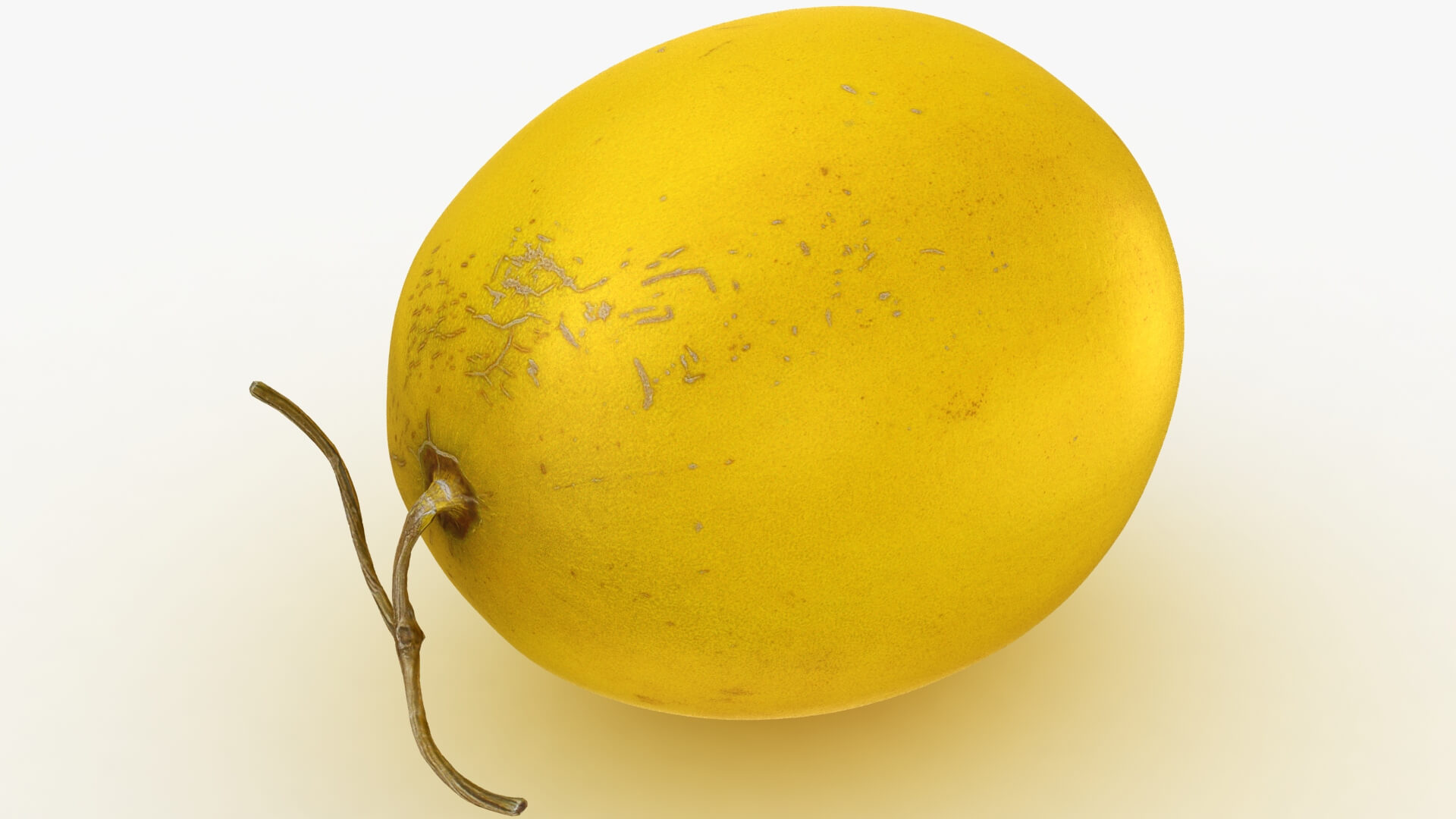 Golden Cantaloupe 3D Model