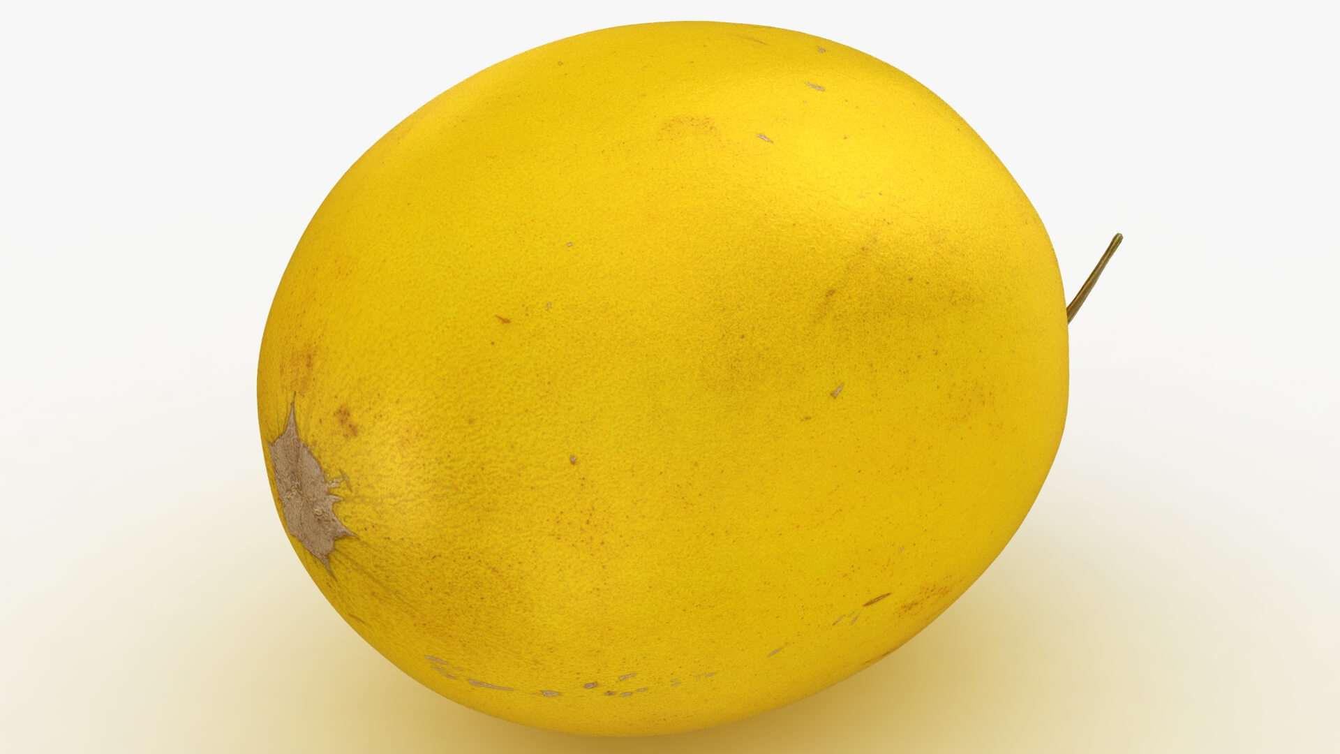 Golden Cantaloupe 3D Model