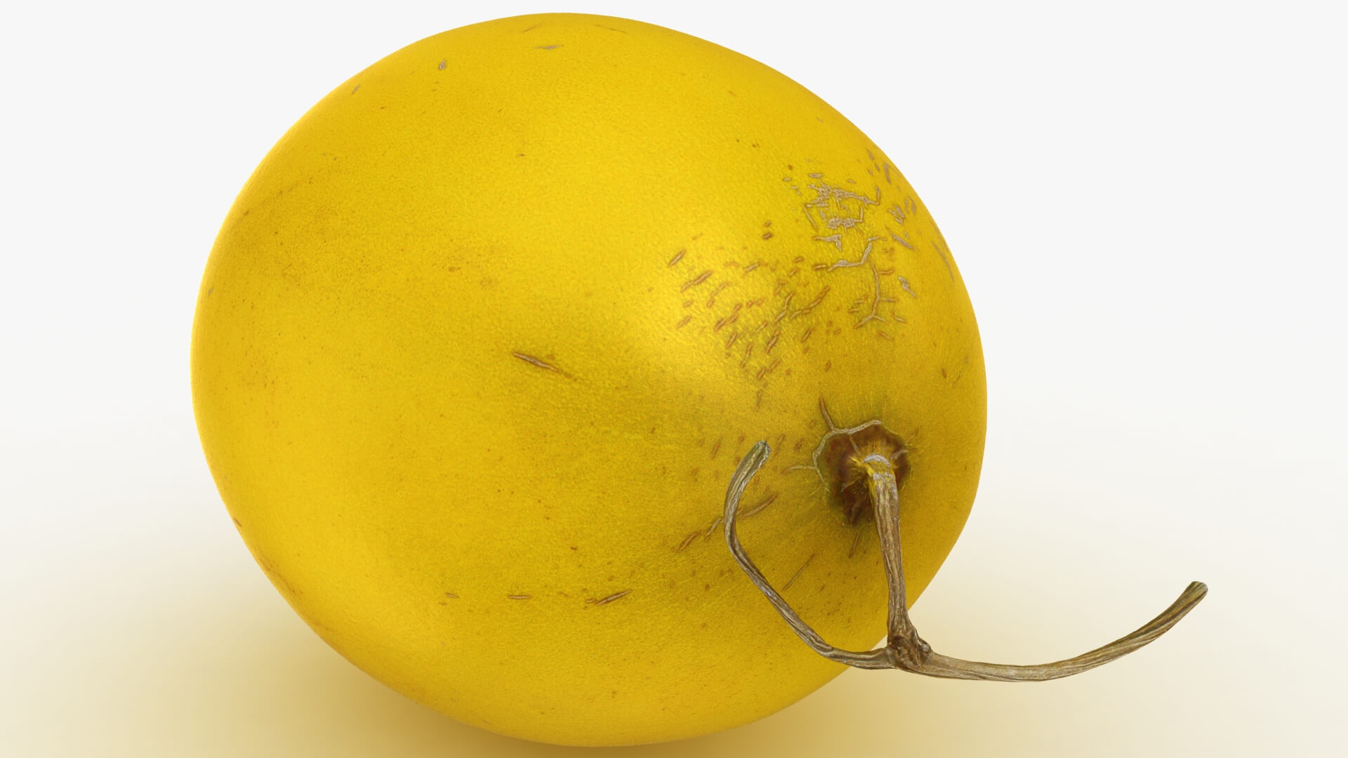 Golden Cantaloupe 3D Model