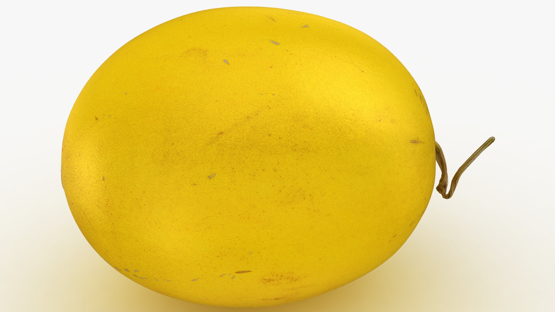 Golden Cantaloupe 3D Model