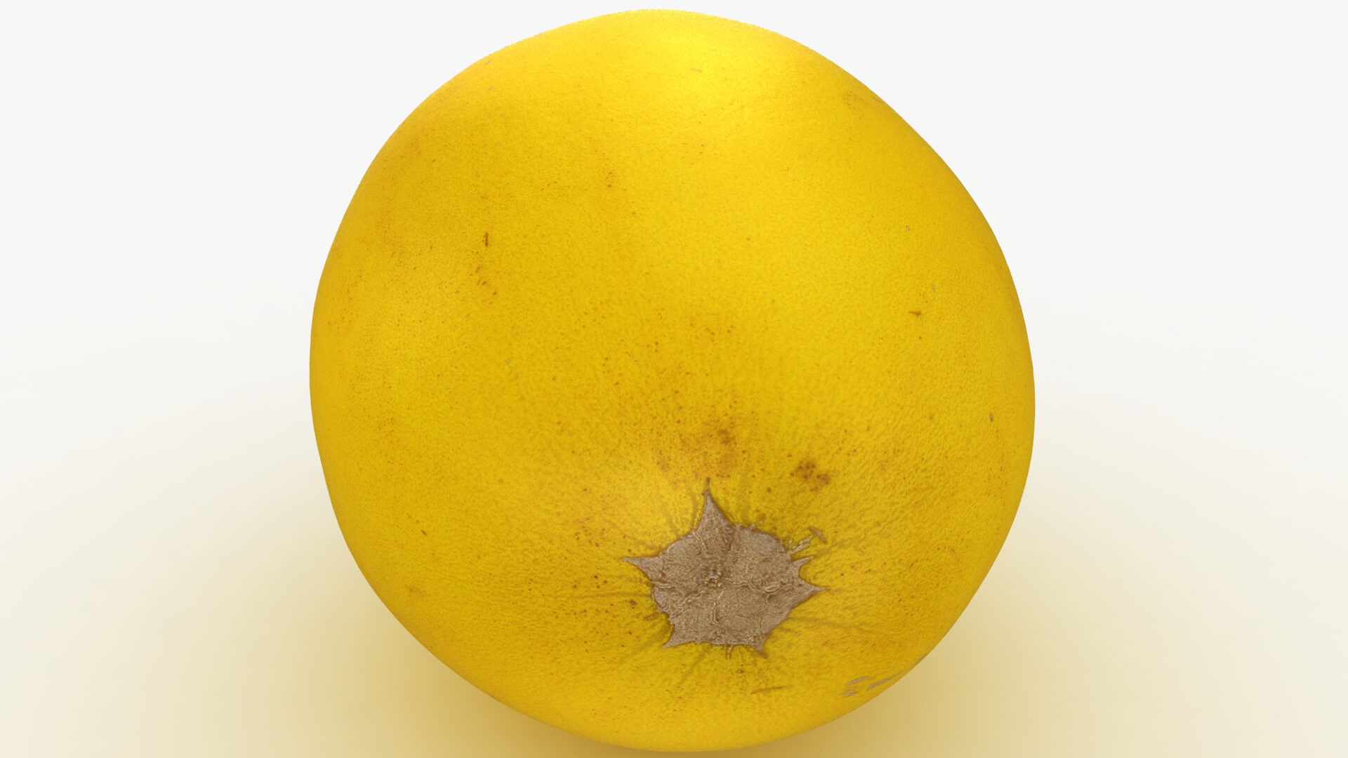 Golden Cantaloupe 3D Model