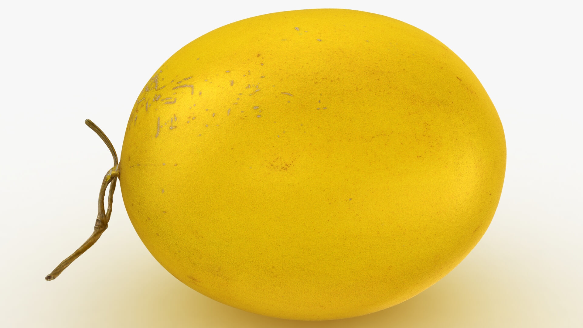 Golden Cantaloupe 3D Model