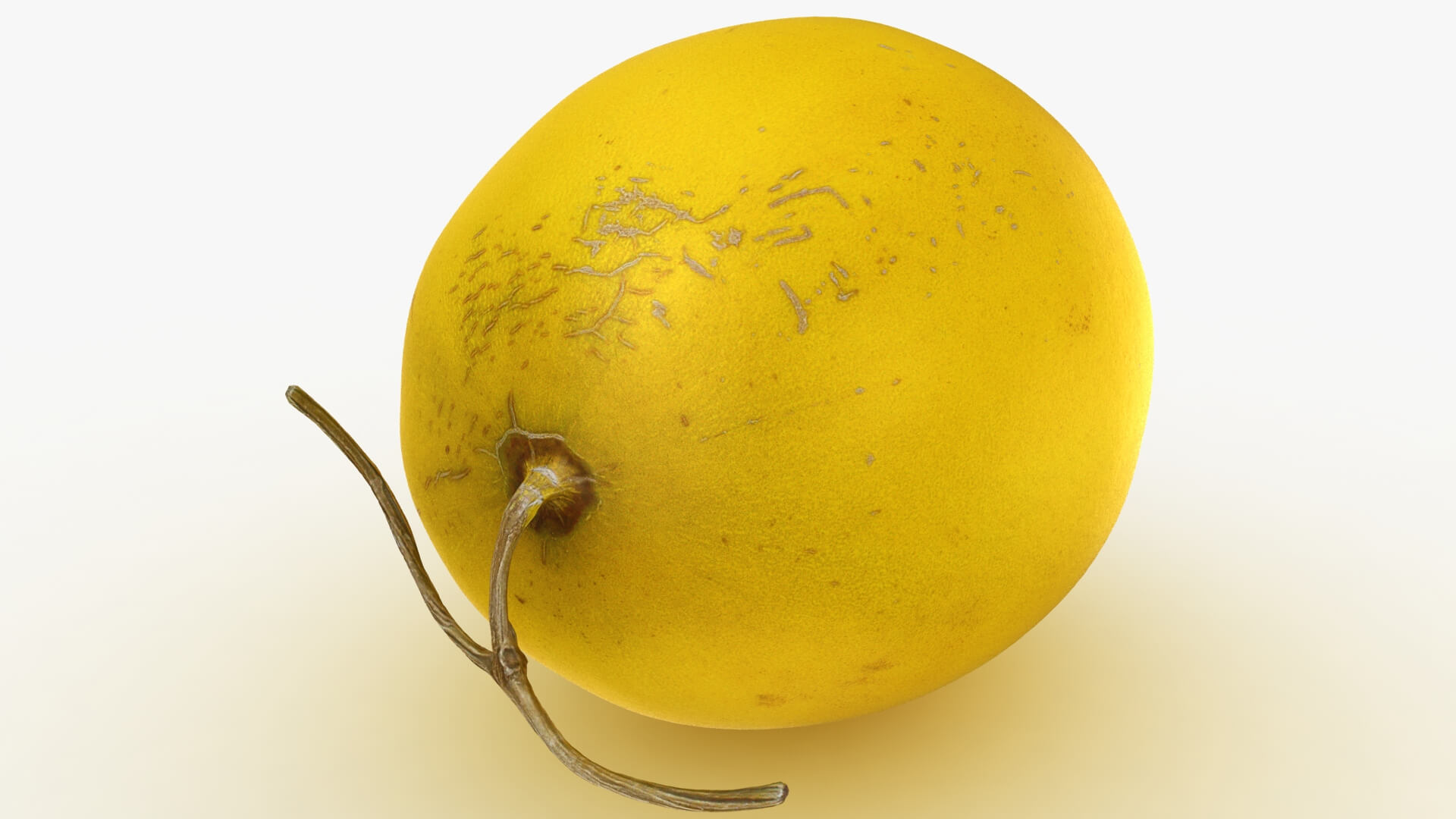 Golden Cantaloupe 3D Model