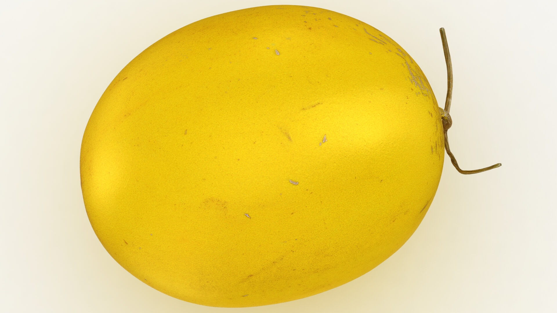 Golden Cantaloupe 3D Model