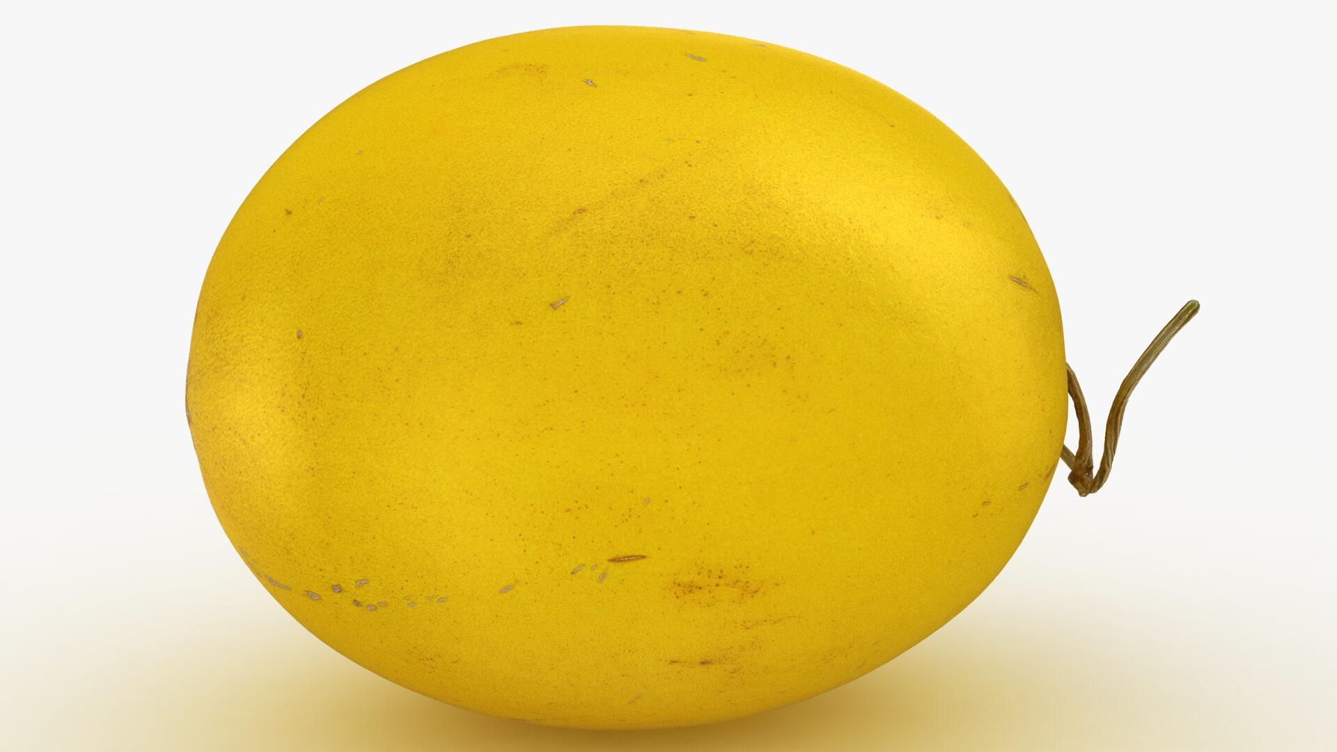 Golden Cantaloupe 3D Model