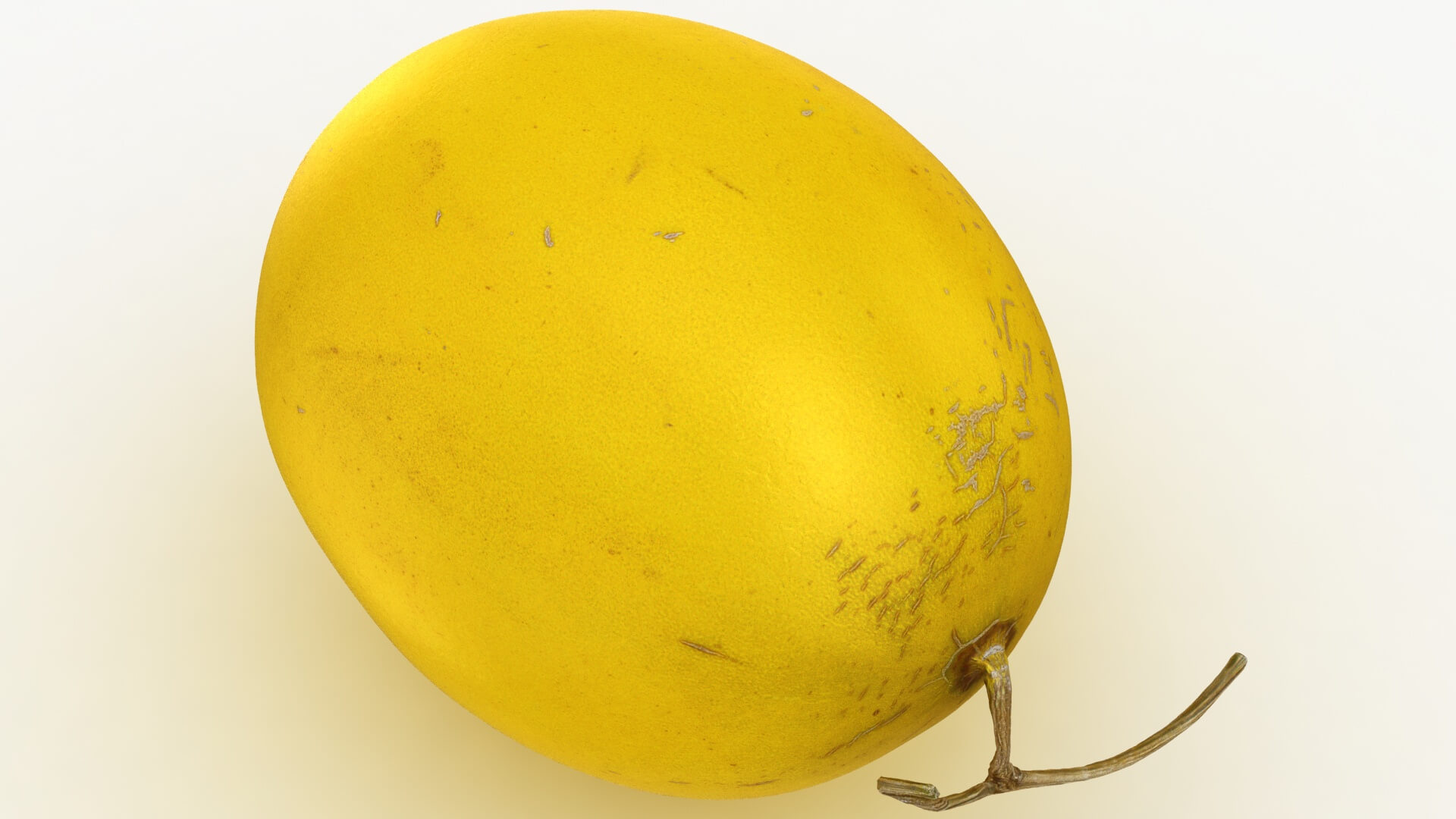 Golden Cantaloupe 3D Model